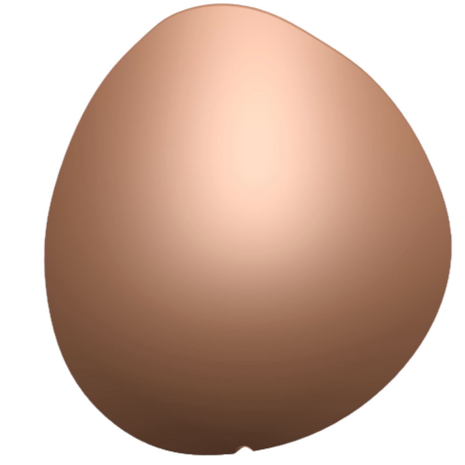 前視（升級款）